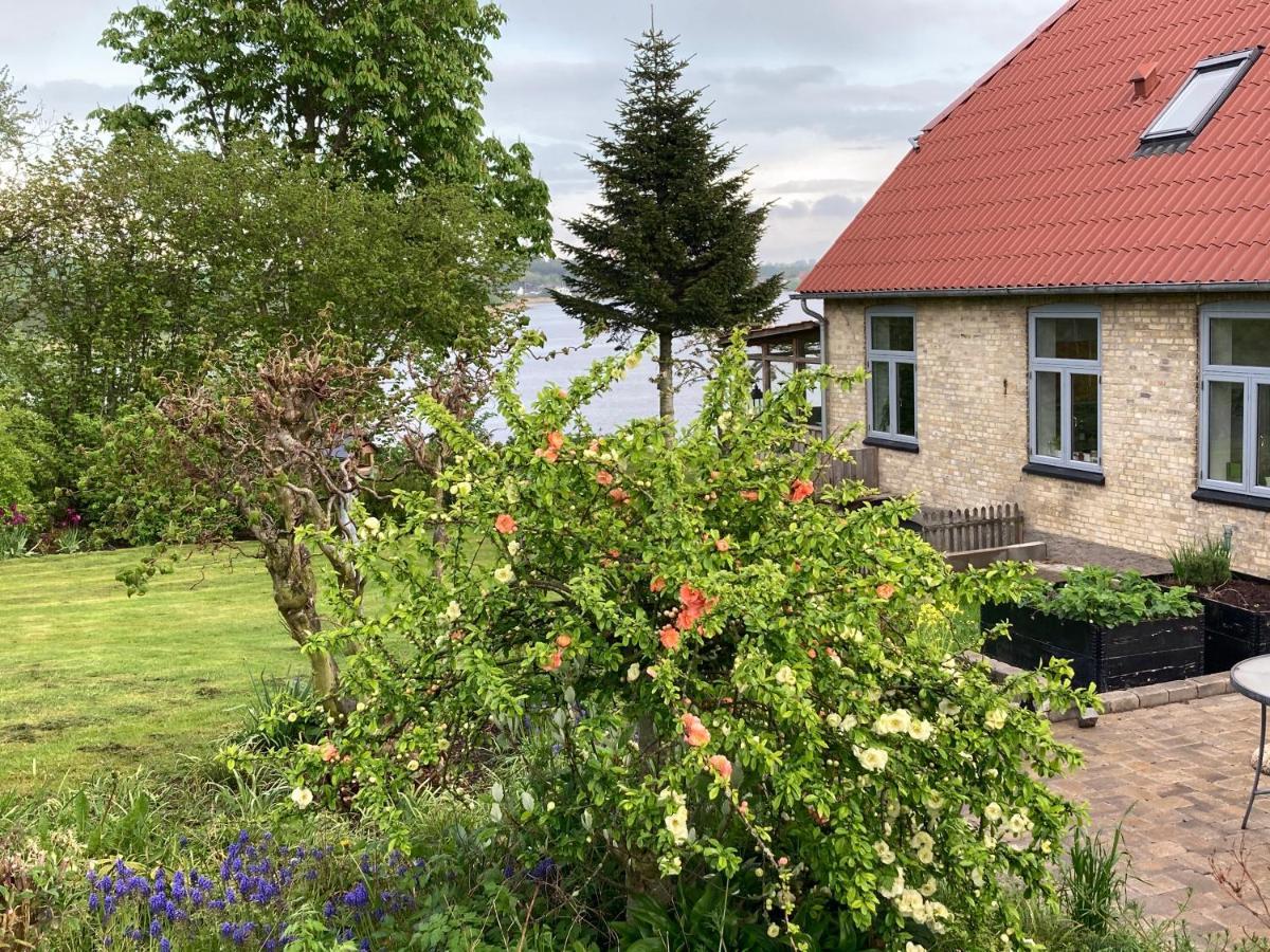 Bogebjerggard Bed & Breakfast Sønderborg Buitenkant foto