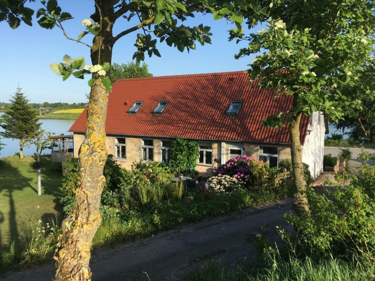 Bogebjerggard Bed & Breakfast Sønderborg Buitenkant foto